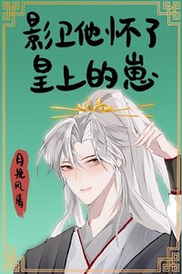 影衛他懷了皇上的崽