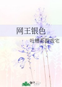 网王银色